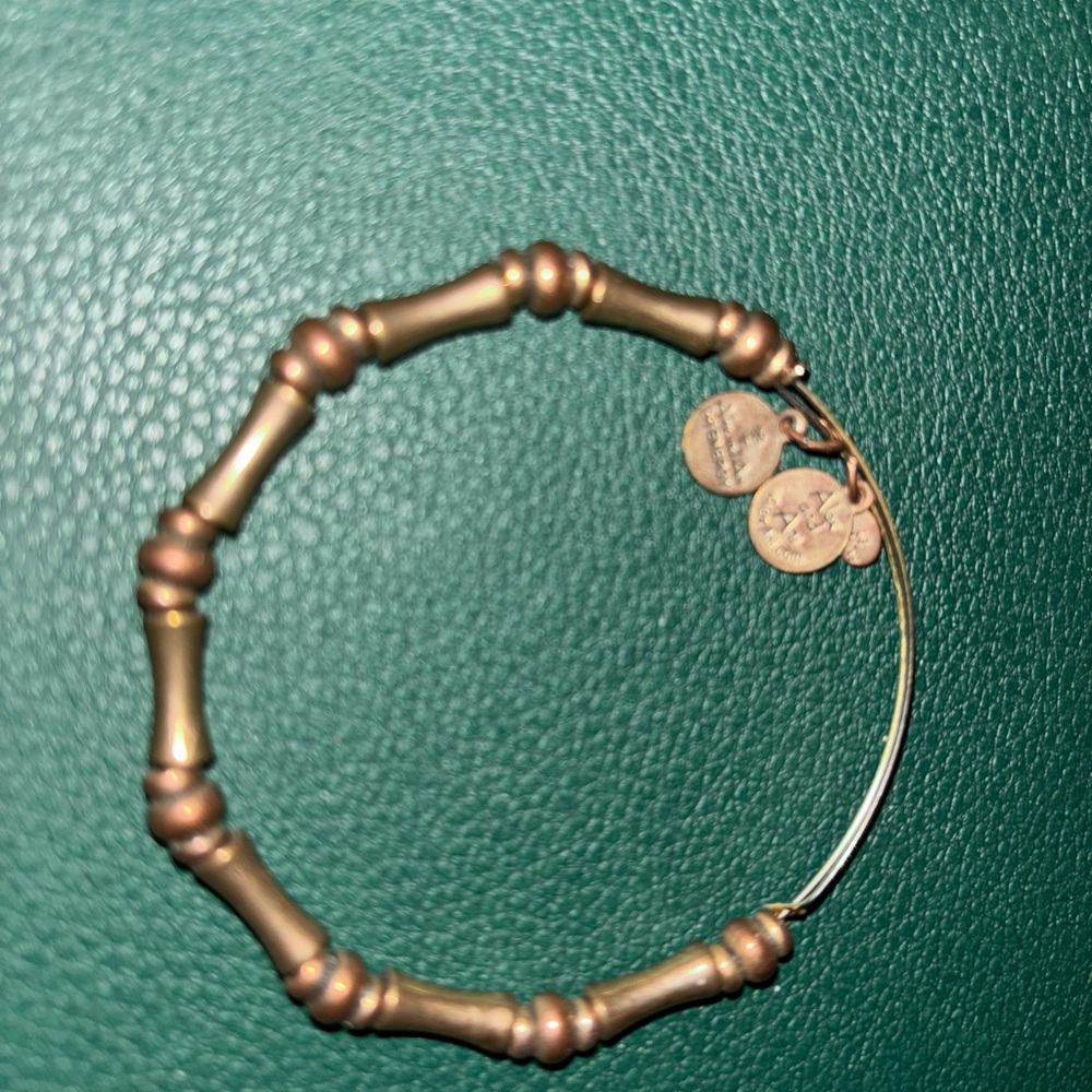Alex and Ani bracelet